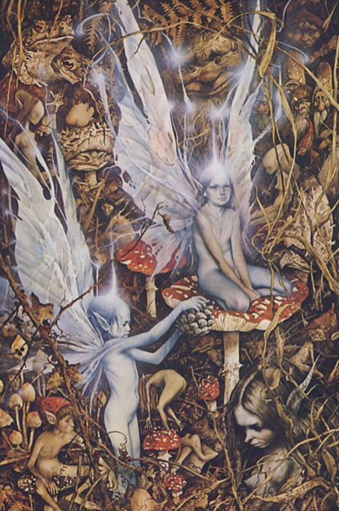 http://3.bp.blogspot.com/--8Kv_uzxLrc/T6stNmRm80I/AAAAAAAAFLc/iswm9NXebaw/s1600/book+of+faeries.jpg