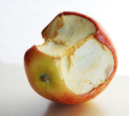 http://1.bp.blogspot.com/-C4DFxmxxqD8/ThHQmegRwWI/AAAAAAAAD_o/xTuHSzV_tYY/s1600/halfeatenapple.jpg