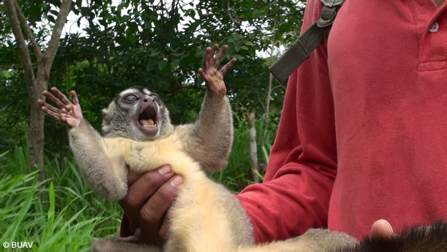 http://1.bp.blogspot.com/-hCQfTvoBpvw/UJkVtT-HfpI/AAAAAAAAF1A/TfqtILVwqr4/s1600/terrified+monkey.jpeg