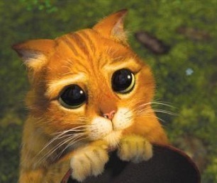 http://3.bp.blogspot.com/-tGnOwgEnQFg/ThHSI-9QTYI/AAAAAAAAD_w/xMiDUagLXfc/s1600/bambi+eyes.jpg